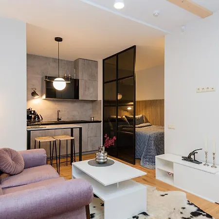 アパート Memel Townhouse Apartamentai