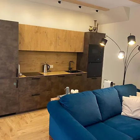 Memel Townhouse Apartamentai 克莱佩达